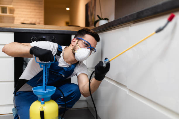 Best Pest Control Near Me  in Masontown, PA