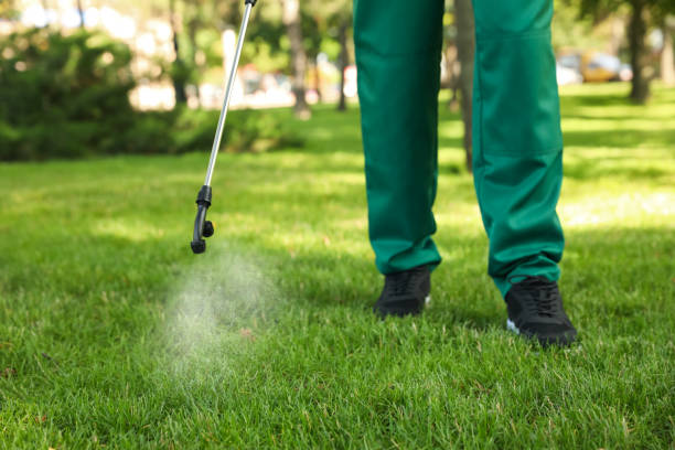 Trusted Masontown, PA Pest Control Experts