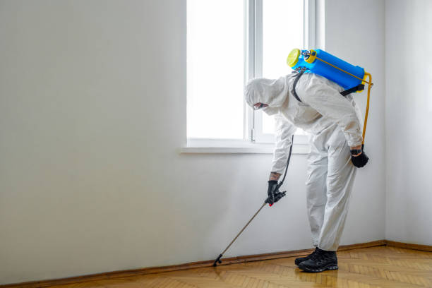 Best Exterminator Services  in Masontown, PA