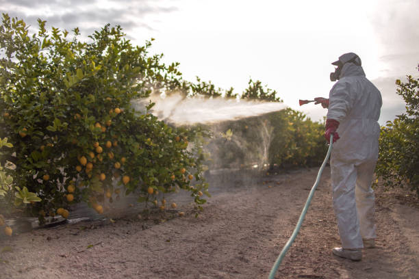 Best Pest Control Near Me  in Masontown, PA