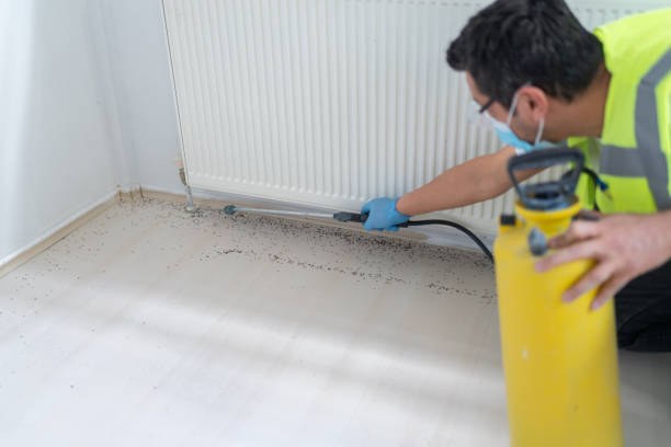 Best Pest Control for Restaurants  in Masontown, PA
